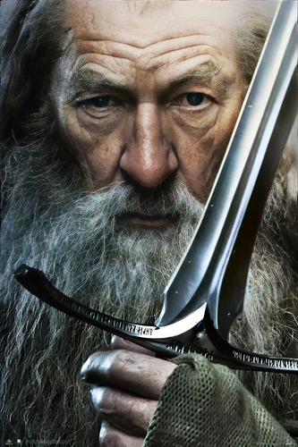 Póster Gandalf Señor De Los Anillo Autoadhesivo 100x70cm#998