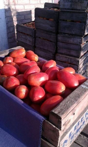 Imagen 4 de 11 de Quinta En Venta En General Alvear