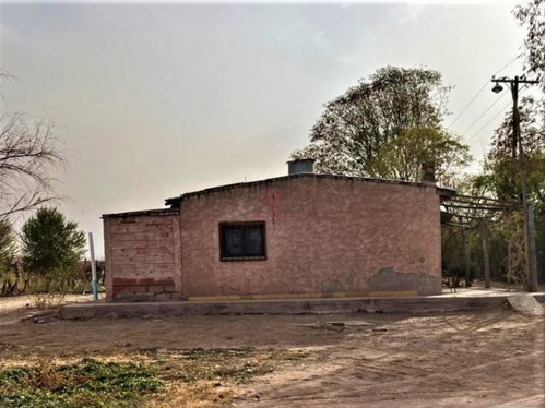 Imagen 12 de 19 de Greenwood Vende Hermosa Finca Con Viñedos, Casa, Galpon Y Pozo Para Riego