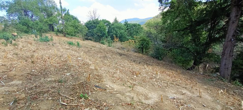 Terreno En Venta, Vista Al Bosque 