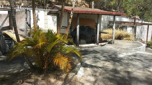 Imagen 13 de 14 de Terrenos En Venta Casavenezia 04241885943 04122947731