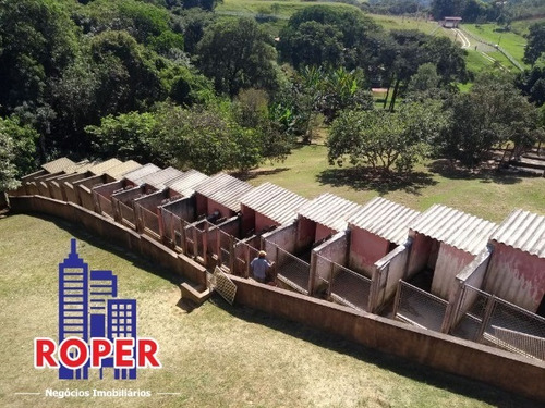 Imagem 14 de 20 de Linda Chácara De 12.500 Metros À Venda No Condomínio Porta Do Sol Em São Roque. - Ch00972 - 69402366