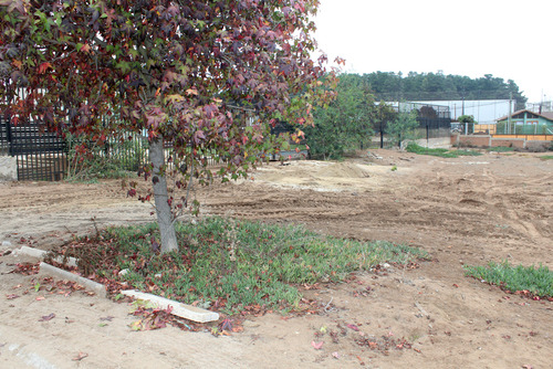 Terreno Los Pinos De Reñaca