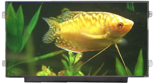 Display Pantalla Acer Aspire One D256 1625 Happy Happy2 Op4