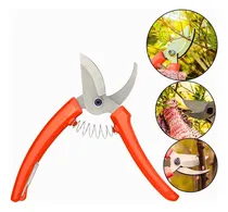 Comprar Tesoura De Poda Tramontina Profissional Jardinagem Afiada
