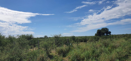 Campo - Santiago Del Estero