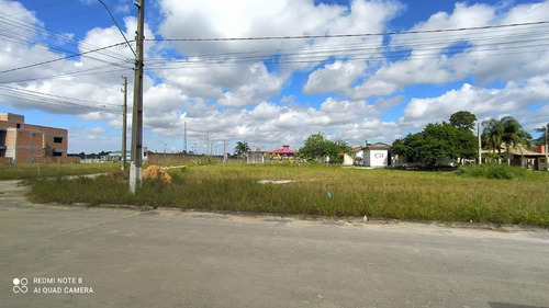 Terreno Para Venda Em Garopaba, Campo Duna - 999_2-1174834