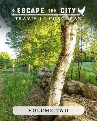 Libro Escape The City Volume 2 - Travis J I Corcoran