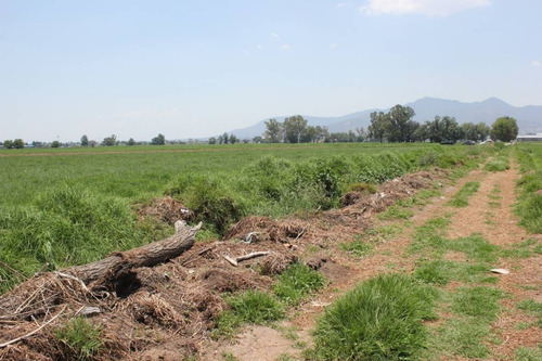 Imagen 15 de 19 de ¡¡atención Inversionistas!! Mega Terreno En Venta ¡excelente Ubicación!