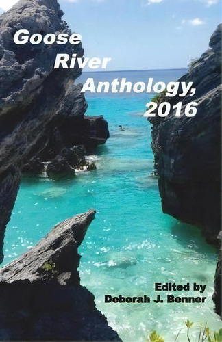 Goose River Anthology, 2016, De Deborah Benner. Editorial Goose River Press, Tapa Blanda En Inglés