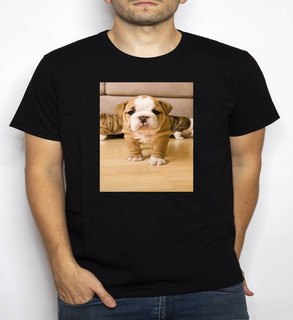 Polera Estampada Para Mascotas Talla L 36 X 24 Cm Polera Estampada Para Mascotas Talla L 36 X 24 Cm