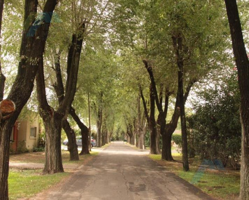 Imagen 2 de 20 de Venta De Terreno - La Otilia
