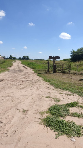 Campo Mixto De 784 Ha En Fernandez, Santiago Del Estero
