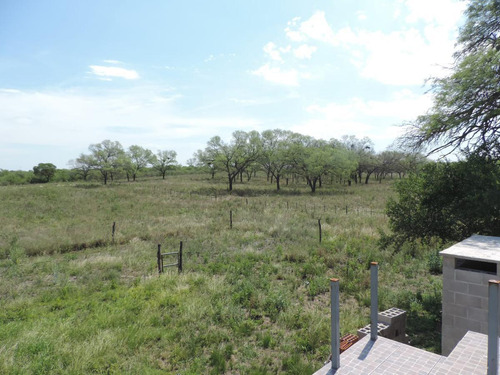 Oportunidad !!! Campo Productivo, Cría Y Siembra - 65 Has En San Pedro, Cba.