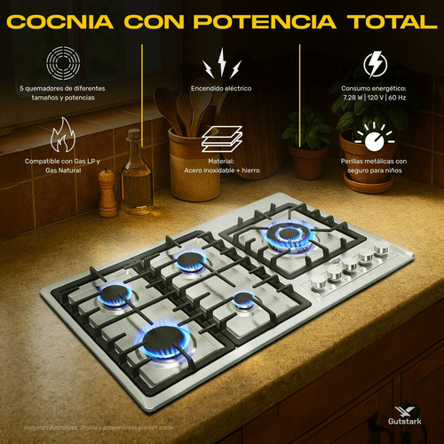 Parrilla Estufa Con Alimentación A Gas 5 Quemadores Gutstark Plata/negro