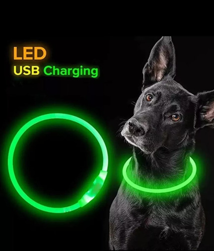 Imagen 8 de 8 de Collar Para Perro Luminoso Luz Led Carga Usb Talla L 65cm