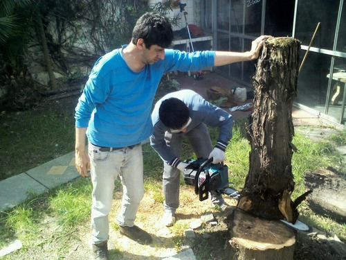 Imagen 4 de 10 de Servicio De Jardinería, Jardineros Profesionales A Domicilio