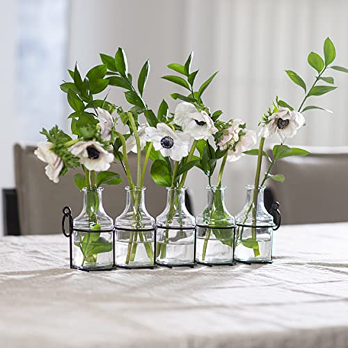 Jarrón De Flores De Vidrio 5pc Con Soporte De Metal, Los Mej