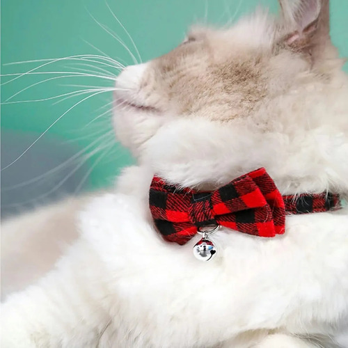 Collares Para Gatos Collar De Gato Con Cascabeles