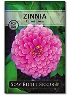 Sow Right Seeds Luminosa Zinnia Seeds   Instrucciones Comple