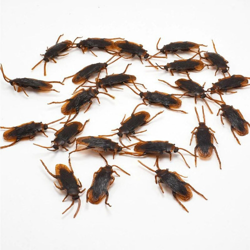 Broma Cucaracha Realista Insectos Desagradables X20 Y A