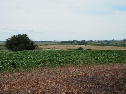 Solis De Mataojo 183ha Agr-gan Sobre Ruta 8