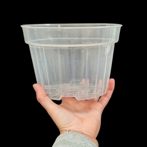 Paquete De 5 Macetas 7 Pulgadas Transparente Para Orquídea