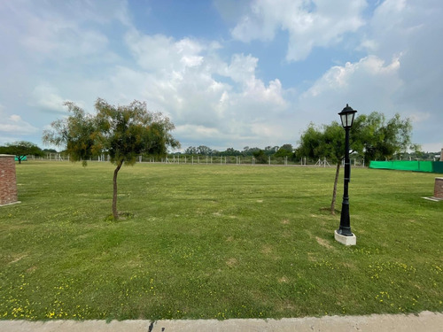 Imagen 3 de 6 de Lote En Pilar Del Este