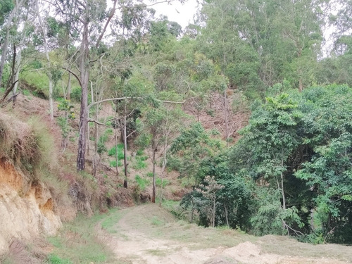 Imagen 3 de 7 de Vendo Lote De Terreno De 45.000 M2, Uso Residencial, Recreacional O Agrícola, Ref. 300.000 - Carrizal Edo. Miranda