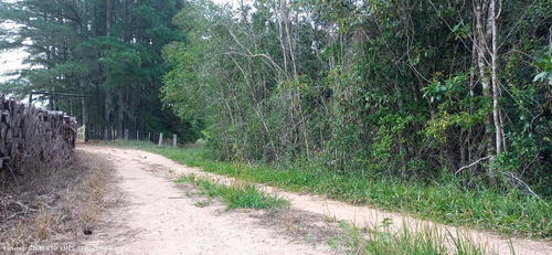 Imagem 9 de 15 de Terreno Para Venda Em Mariana Pimentel, Linha Alves - 1244_1-1843088