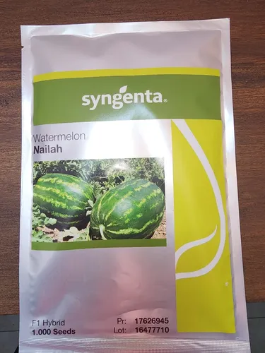 Semilla De Patilla Nailah F1