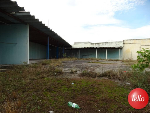 Imagem 7 de 7 de Terreno - Ref: 11184