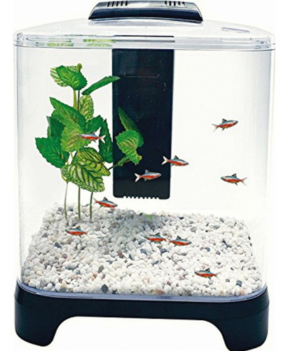 Penn-plax Betta Kit De Acuario Con Luz Led Y Filtro Interno,
