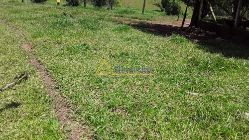 Imagem 3 de 6 de Terreno - Ref: V040021