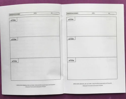 Boletín Primaria Primer Ciclo Pcia Bs As