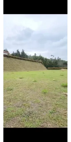 Rhbr-14476 (lote) (guarne, Vda. Montañez)