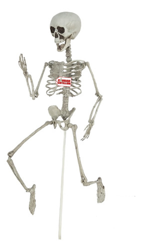 Esqueleto Articulado Deco Jardín 74x18x10cm Halloween - Cc