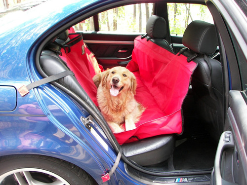 Cubreasiento Para Mascota Christian Dog