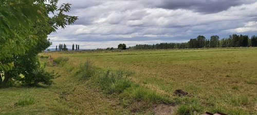 Imagen 25 de 25 de Venta Chacra Casa 2 Dormitorios Galpón - Picun Leufú Neuquén