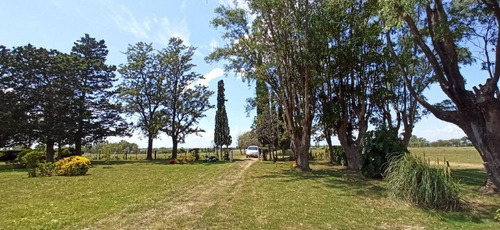 Imagen 25 de 30 de Campo En Venta