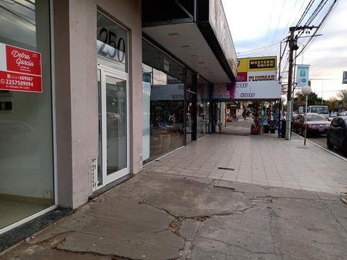 Imagen 21 de 26 de Local Comercial En Alquiler Anual En Mar De Ajo Frente Al Supermercado Coto 170m2- Av. Libertador