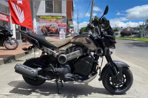 Navi Adventure, Automática 2024
