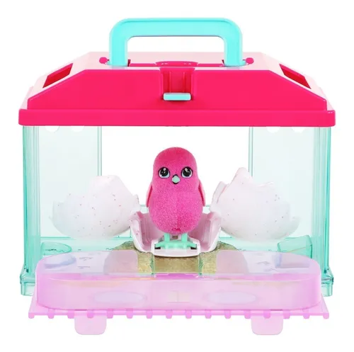 Pollito little cheap live pets