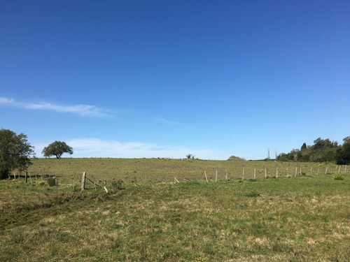 Venta Campo 29 Hectáreas, Colonia América. San José