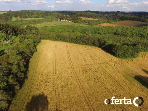 Imagem 2 de 14 de Chacara - Tiete - Ref: 573 - V-573