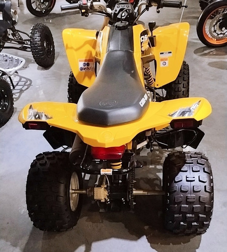Imagen 4 de 15 de Can Am Ds 250 0km En Automoto Lanus