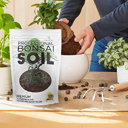 Imagen 6 de 7 de Herramientas Para Bonsai Bonsai Soil Premium Mezcla Multiuso