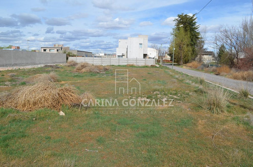 Imagen 2 de 16 de Venta Terreno 996m2 Apto Desarrollo Confluencia Rural Neuquén