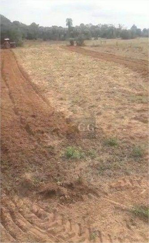 Imagem 6 de 6 de Terreno À Venda, 500 M² Por R$ 40.000,00 - Costa Do Oveiro - Viamão/rs - Te0290
