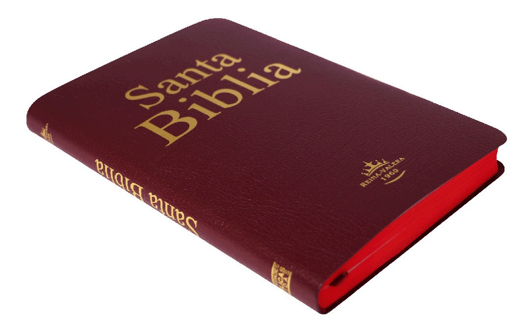 unidad en la biblia reina valera 1960 unidad en la biblia reina valera 1960